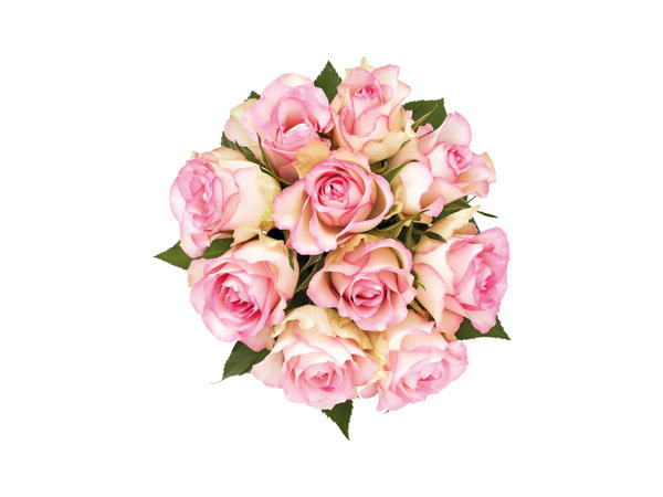 Roses1