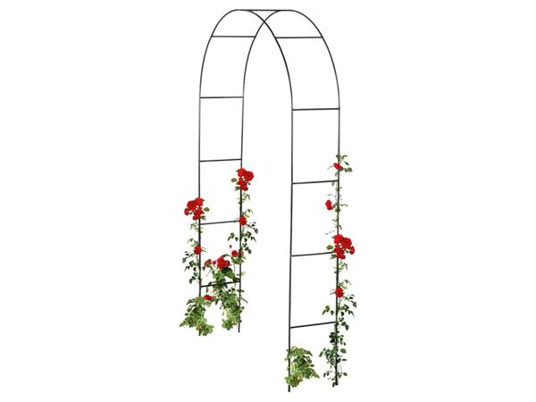 Rose Arch / Trellis