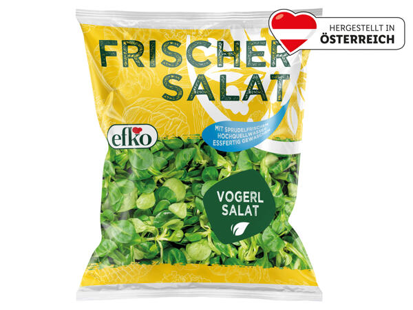 Efko Vogerlsalat