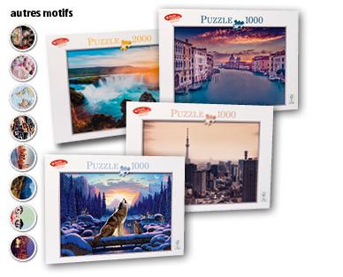 Puzzle pour adultes