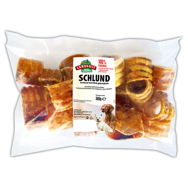 Schlund