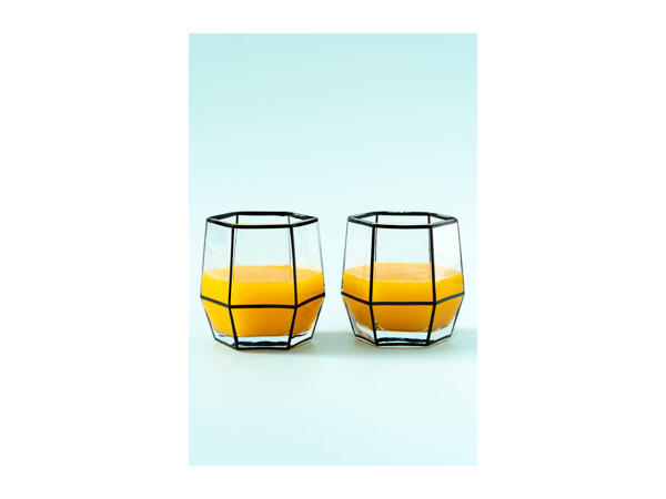Root7 Assorted Tumbler