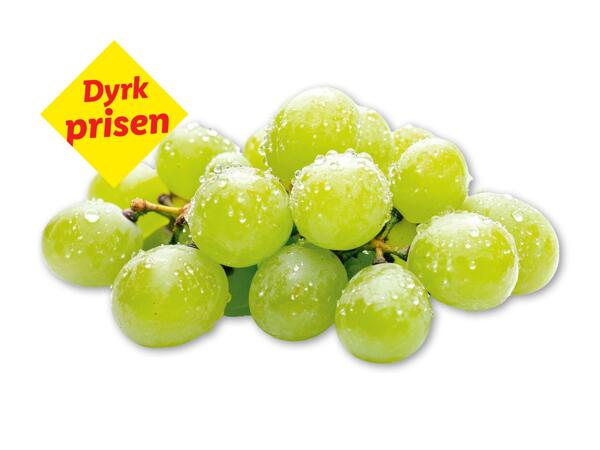 Grønne kernefri vindruer
