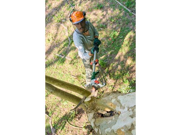 Forestry Safety Helmet