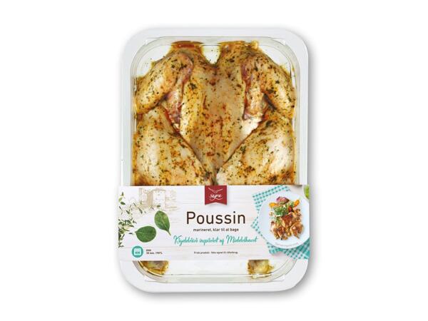 Frilands- eller marineret yellow poussin
