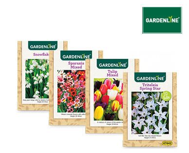 Assorted Packet Bulbs