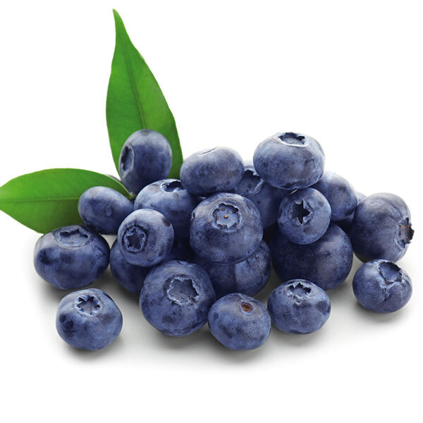 Kultur-Heidelbeeren