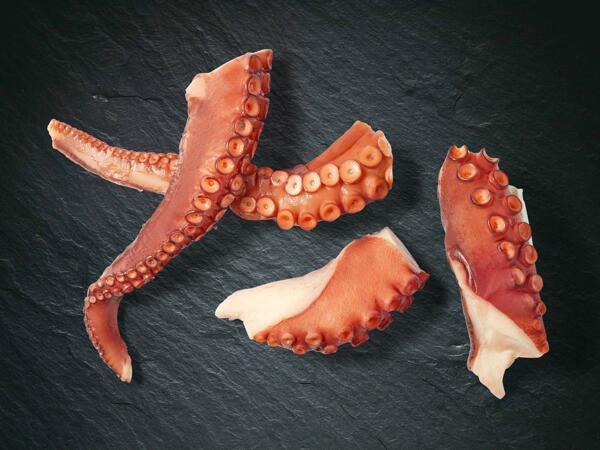 Tentacules de poulpe