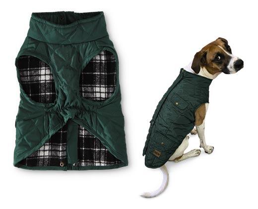 Heart to Tail
Pet Barn Coat