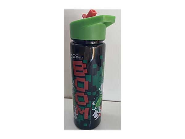 600ml Character Water Bottle - Minecraft