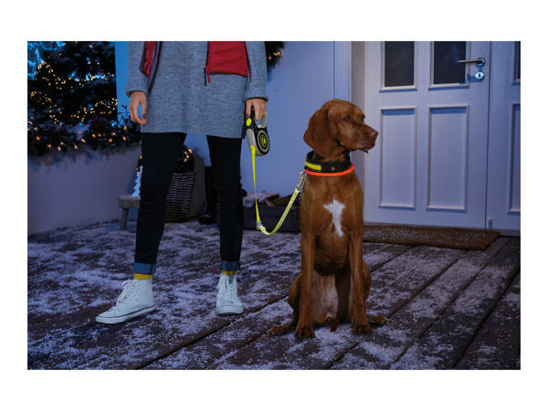 Zoofari Light-Up Retractable Lead
