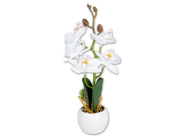 Kunstpflanze, Höhe: ca. 24 cm