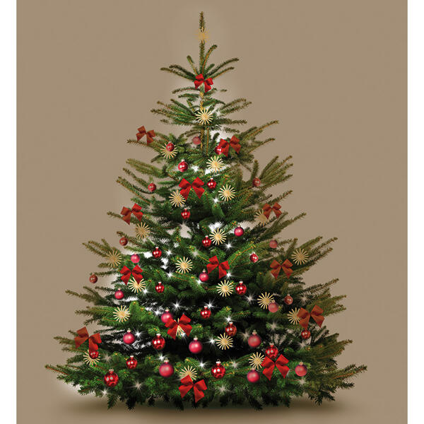 Weihnachtsbaum