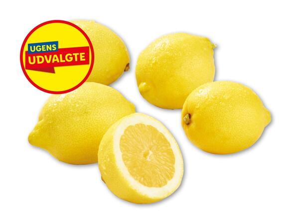 Citroner