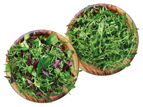 Mix-Salat oder Rucola
