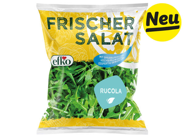 Efko Rucola