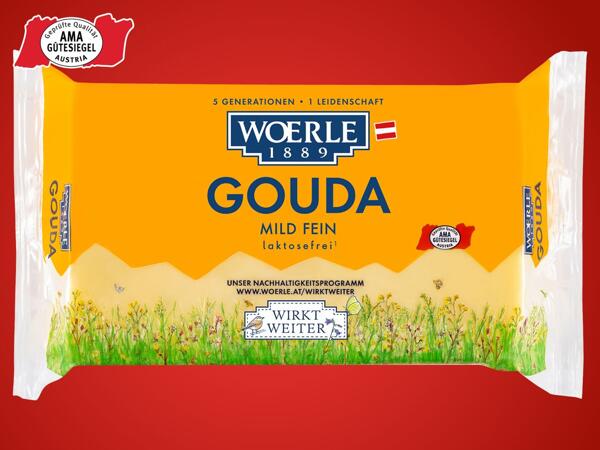 Gouda