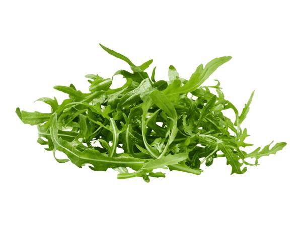 Rukola
