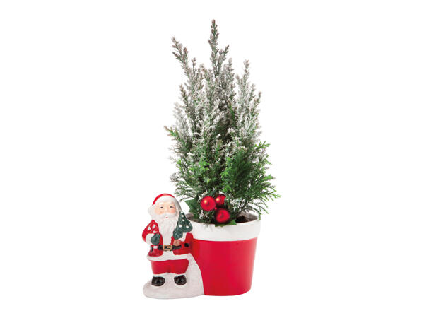 Santa with Conifer