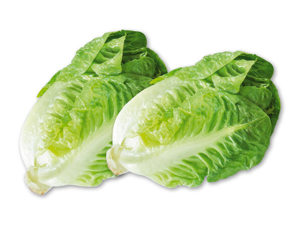 Økologisk dansk hjertesalat