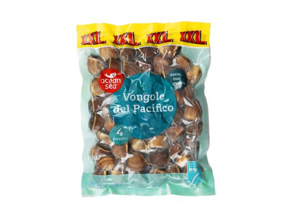 Pacific Clams XXL