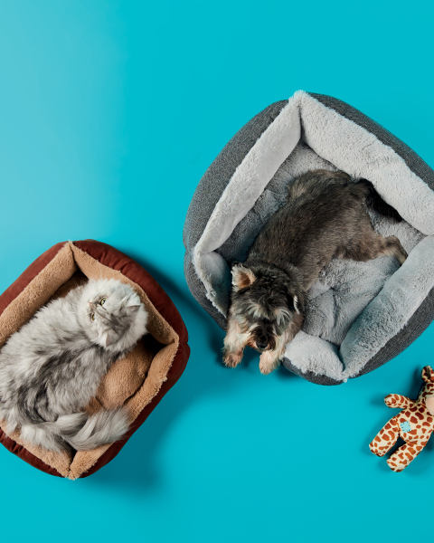 Brown Small Plush Pet Bed