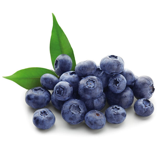 Kultur-Heidelbeeren