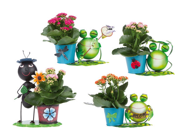 Figurine en zinc avec kalanchoe