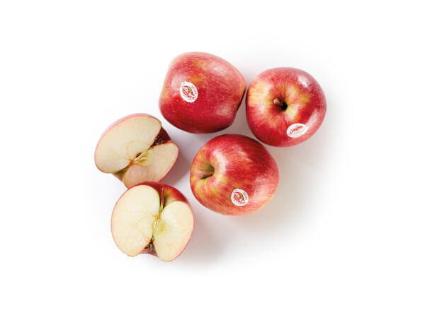 Crimson Snow Red Apple