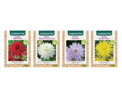 Dahlia and Gladioli Packet Bulbs