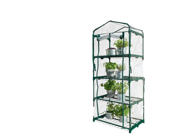 Greenhouse