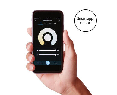 Smart LED Downlight