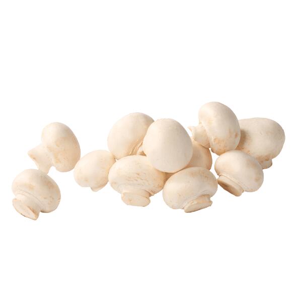 Champignons