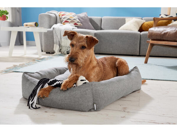 Dog Bed