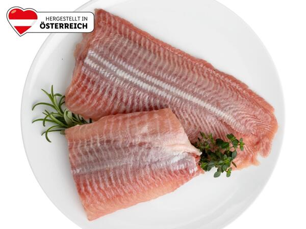 Frisches Welsfilet