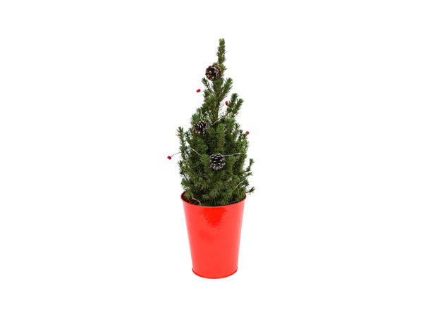 Christmas Tree with Lights and Decorations