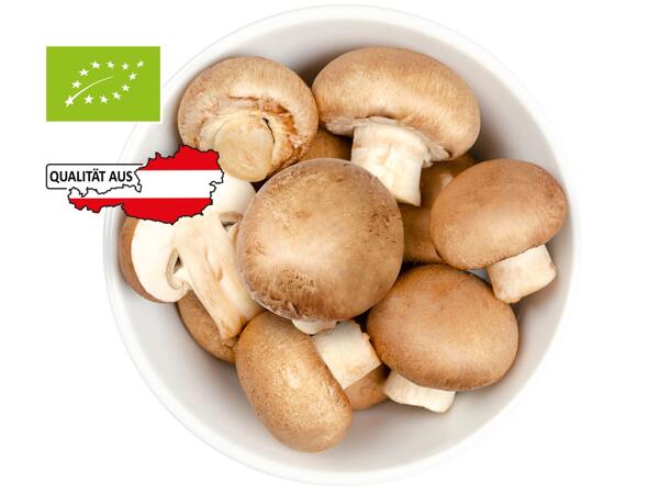 Bio Champignons braun aus Tirol