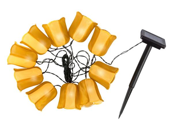 Livarno LED Solar Summer String Lights