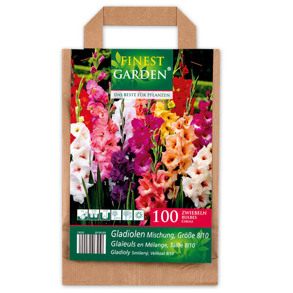 Blumenzwiebeln in Papiertasche