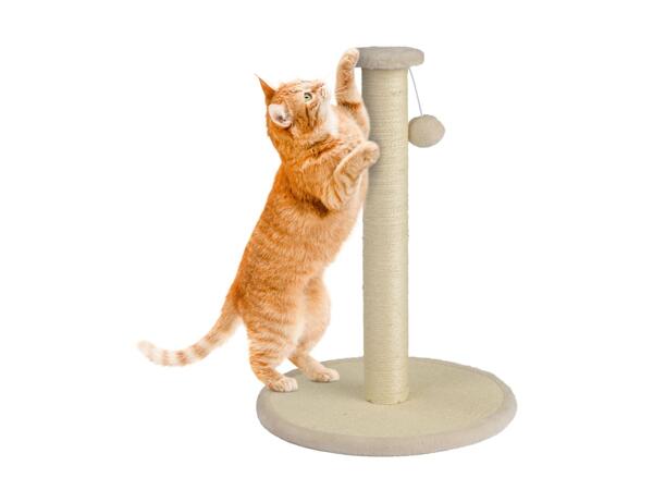 Zoofari Cat Scratching Post - Cream
