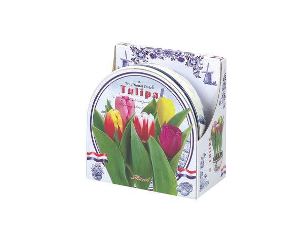 Flowering Bulbs In Ceramic Bowl