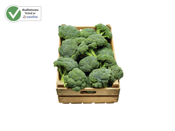 Broccoli