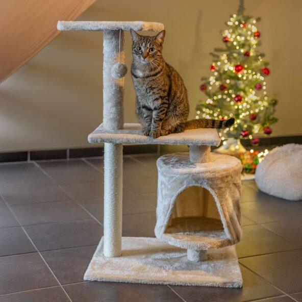 JULIET(R) 				Arbre à chat