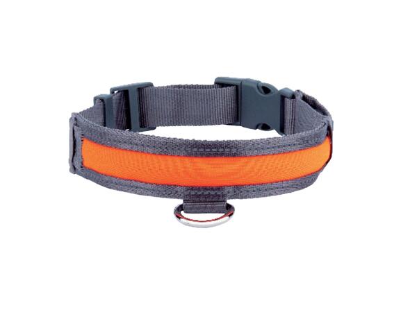 LED Dog Band / LED Dog Collar