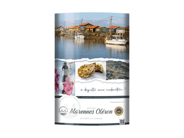 Ostriche Marenne d'Oleron N. 3