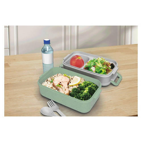 Two Tier Food Storage Box, Green & Gray