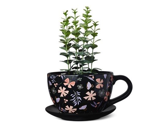 Belavi 
 Teacup or Watering Can Planter