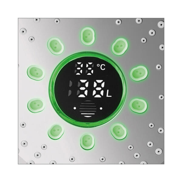 LED-Wasserspar-Handbrause