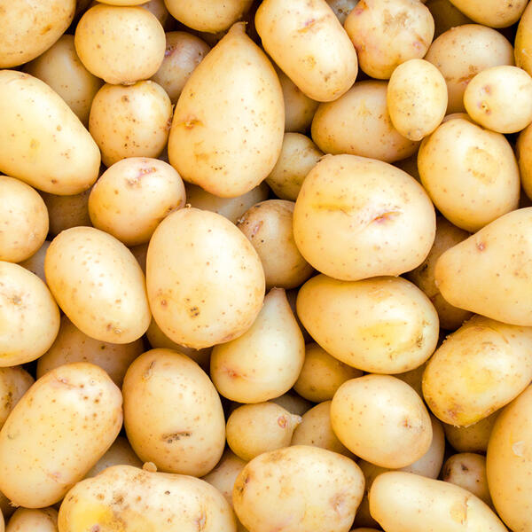 Speisekartoffeln