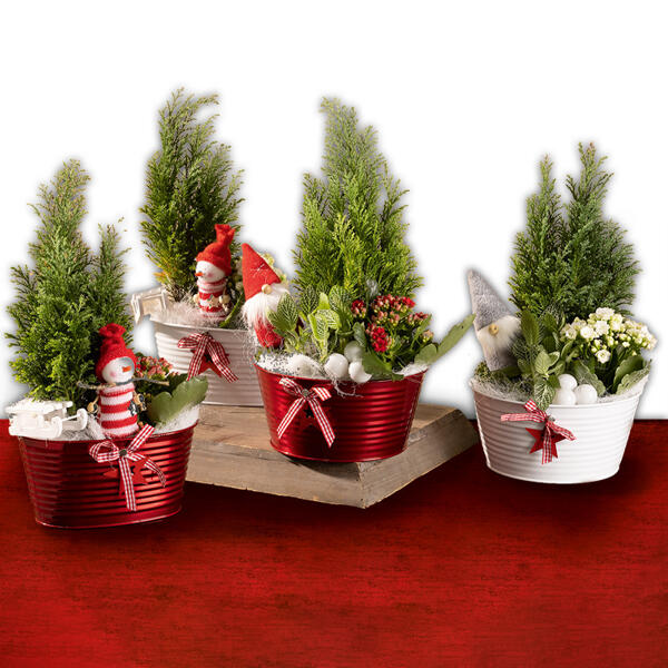 Weihnachtliches Arrangement